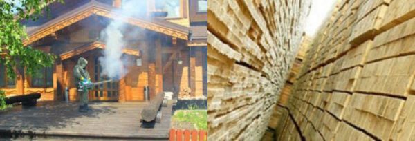 фумигация древесины
