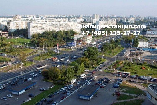 ЮАО Уничтожение клопов от СЭС в ЮАО