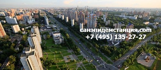 качественном термобелье сэс юго западного округа Артикул: 21436529
