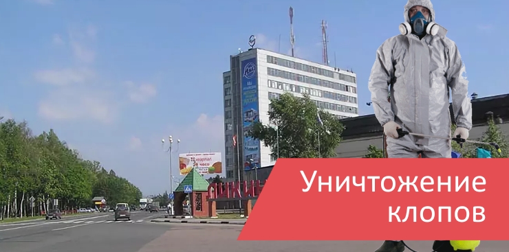 Уничтожение клопов Ликино-Дулёво