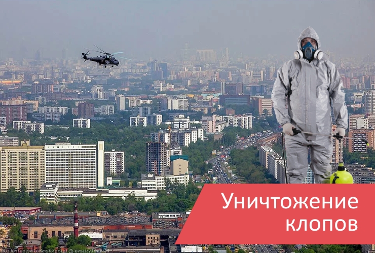 Уничтожение клопов Люберцы