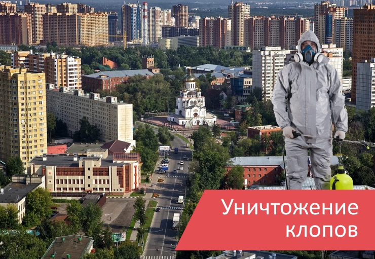 Уничтожение клопов Реутов