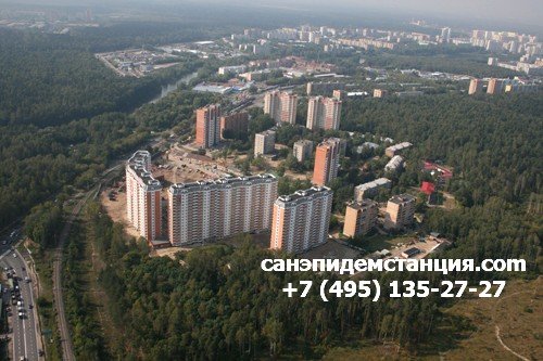 СЭС Балашиха Уничтожение клопов в Балашихе