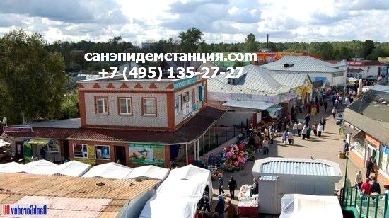 СЭС Голицыно Уничтожение клопов в Голицыно