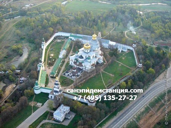 СЭС Истра Уничтожение клопов в Истре