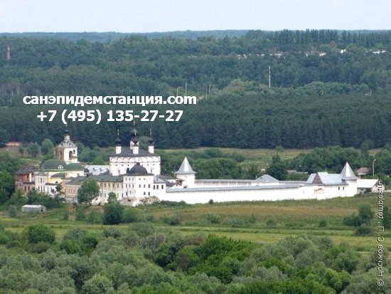 Уничтожение насекомых в Кашире
