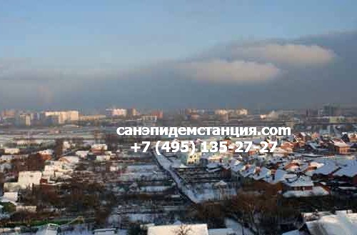 Уничтожение клопов в Котельники