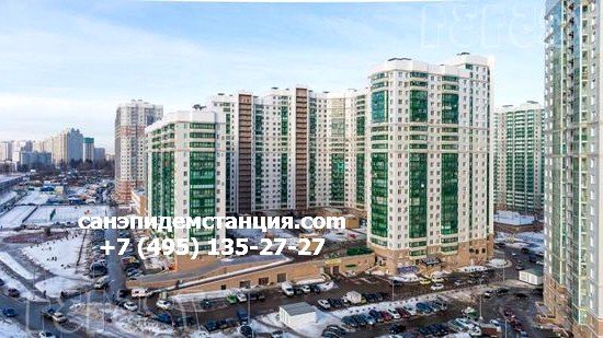 Уничтожение клопов в Красногорске