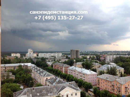Уничтожение клопов в Лосино Петровском