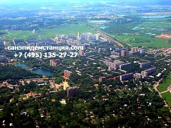 СЭС Люберцы Уничтожение клопов в Люберцах