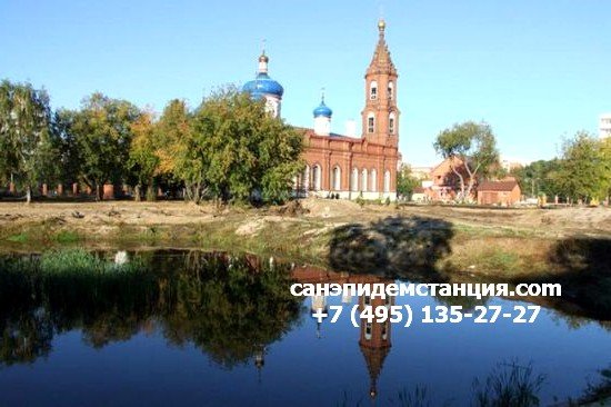 СЭС Павловский Посад Уничтожение клопов в Павловском Посаде