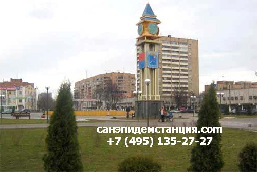 Уничтожение клопов в Подольске