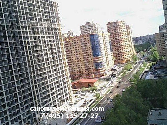 СЭС Реутов Уничтожение тараканов в Реутове