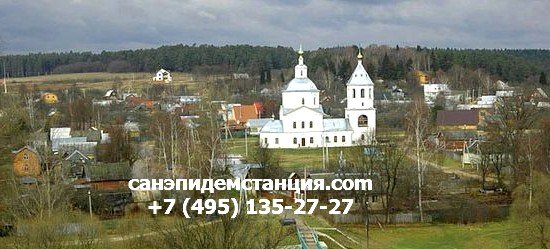 Уничтожение клопов в Верее