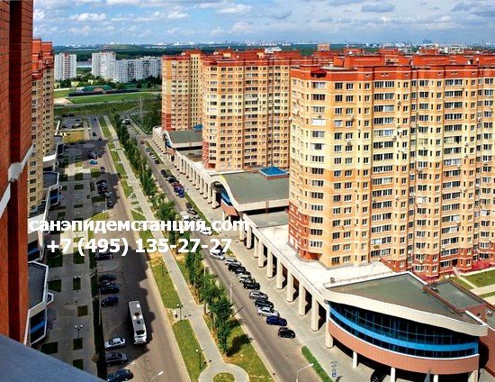 СЭС Видное Уничтожение клопов в Видном