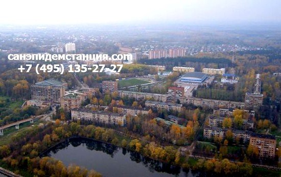 Уничтожение клопов в Воскресенске