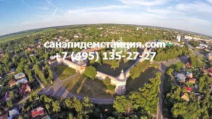 Уничтожение клопов в Зарайске