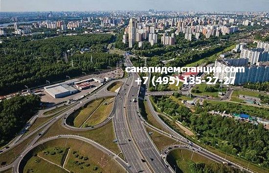 Санэпидемстанция Химки Уничтожение клопов в Химках