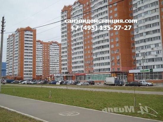 Уничтожение клопов в Серпухове