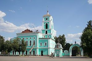Уничтожение клопов в Старой Купавне